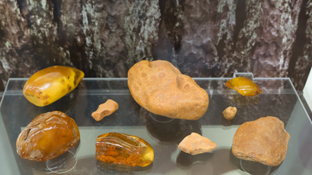 Palanga, Lithuania - August 1, 2015: the exhibits in the museum of amber. Amber Museum is located in the heart of the Botanical Park pledged by the French landscape architect E. Andre in the late 19th century.のeditorial素材