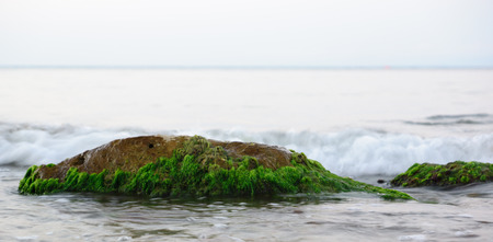 stones on the beach under the incoming waveの写真素材