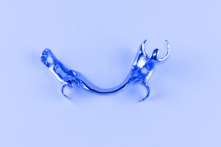 arc prosthesis frame is made of a metal alloy in dental laboratory