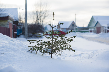 snowy winter road runs through the village with buildの写真素材