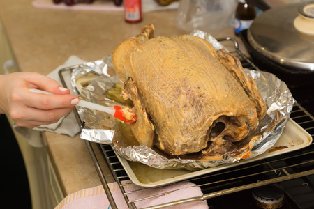 hostess is preparing a large fat duck for the festive tableの写真素材