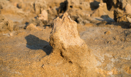 alien landscapes built of sand by nature itself