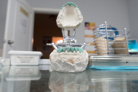 modeling of artificial teeth on a plaster model for visual display