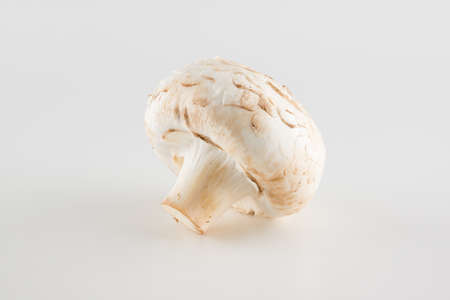 premium champignon mushrooms isolated on white backgroundの写真素材
