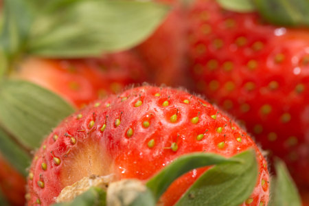 large red strawberry