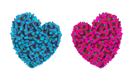 Hearts of lovers, made of bright butterflies. Valentine's Day.の写真素材