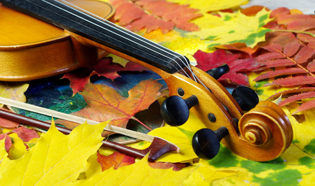 Violin and autumn leaves. Autumn moodの写真素材