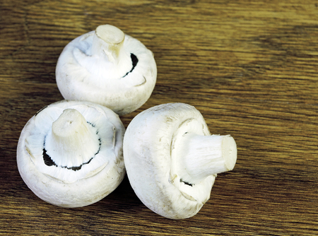 Champignons. Closeup. Copy spaces.の写真素材