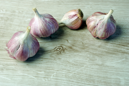 Garlic. Copy spaces.の写真素材