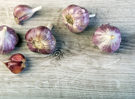 Garlic. Copy spaces.の写真素材
