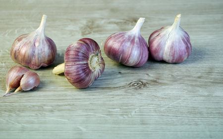 Garlic. Copy spaces.の写真素材