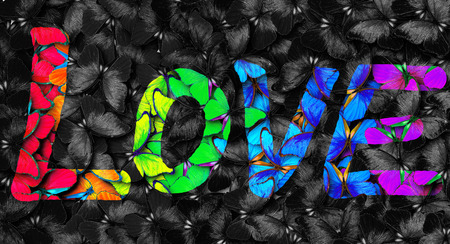 Inscription Love. Love inscription on a background of butterflies. Butterfly Morpho texture background.の写真素材