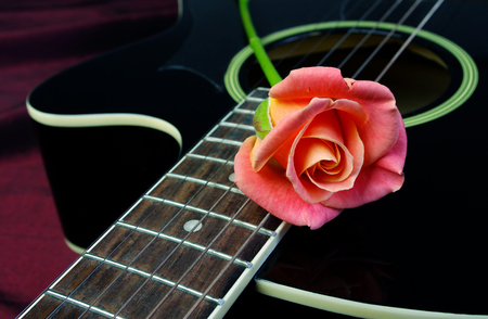 Pink rose and black acoustic guitar. Copy spaces.の写真素材