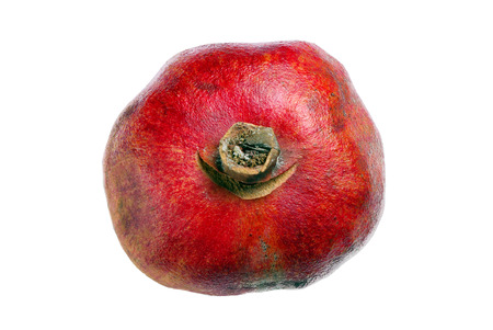 pomegranate isolated on the white backgroundの写真素材
