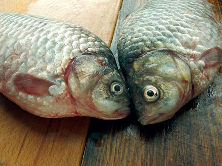 Fresh crucian fish. Close-upの写真素材