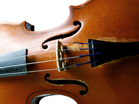 Old violin close-upの写真素材