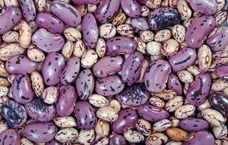 fruit beans texture background