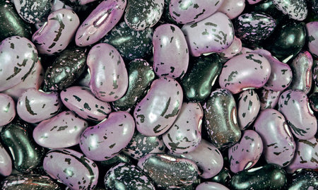 fruit beans texture background