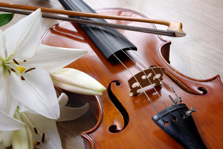 violin and lily on a wooden background. close upの写真素材