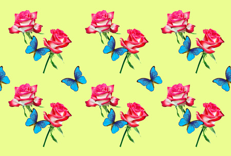 Morpho Decorative Pattern Pink Rose and Blue Butterfly Morphoの写真素材