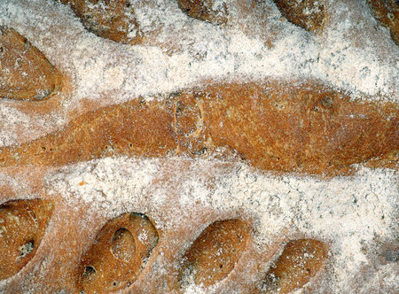 baked crispy bread crust. rye bread loaf surface.