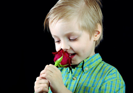 child sniffing flower. boy with red rose on blackの写真素材