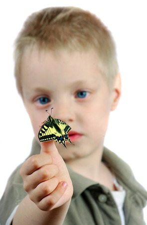 Butterfly sitting on the hand of a child. Child with a butterfly. Selective focus.の写真素材