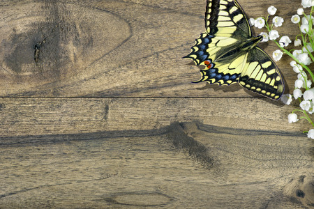 springtime. lilies of the valley and butterfly on the wooden table. copy spacesの写真素材
