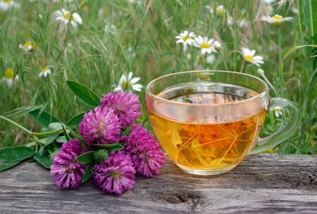 cup of tea on a wooden table. White butterfly sitting on a cup of herbal tea. clover flowers and a cup of flower tea. herbal tea. cold and flu remedy.の写真素材