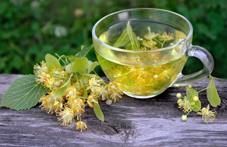 A cup of tea and medicinal herbs on a wooden table. fresh clover, chamomile and linden. herbal tea. flu and coldの写真素材