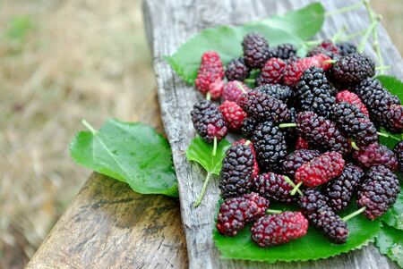 fresh ripe mulberry on a wooden tableの写真素材