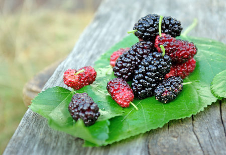 fresh ripe mulberry on a wooden table