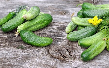 fresh ripe cucumbers on a wooden tableの写真素材