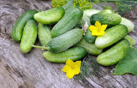 fresh ripe cucumbers on a wooden tableの写真素材
