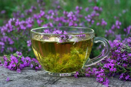 Fresh thyme. Cup of thyme tea on a wooden table. cold and flu remedyの写真素材