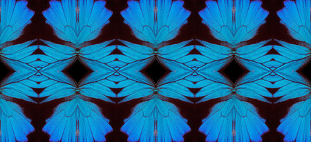 Blue abstract pattern. Wings of the butterfly Ulysses. Ornament from the wings of butterflies.
