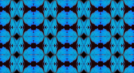 Blue abstract pattern. Wings of the butterfly Ulysses. Ornament from the wings of butterflies.