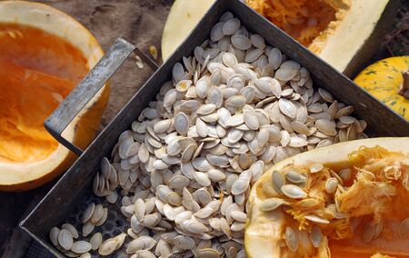 harvest of pumpkin seeds. top view.の写真素材