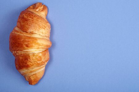 croissant top view. croissant on bright blue background. fresh ruddy croissant on color cardboard.の写真素材