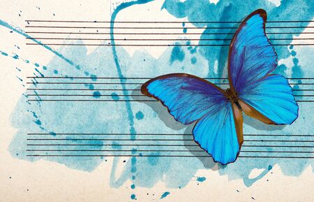Morpho blue butterfly and notes. Butterfly melody. Photo of old music sheet in blue watercolor paint. Blues music concept. Abstract blue watercolor background. copy spacesの写真素材