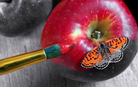 coloring this world. artist brush paints an apple and butterfly. color and shape. red apple close-up.の写真素材