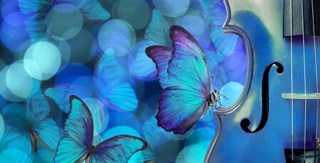 blues music concept. melody concept. butterfly sitting on a violin. violin on a blurry blue background. blurry lights and blue morpho butterflies.の写真素材