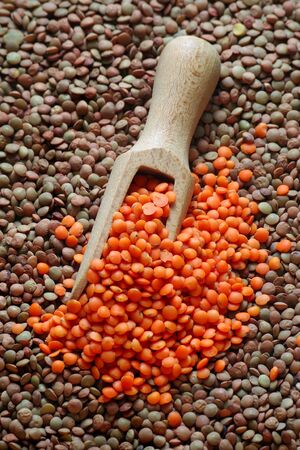 green and red lentils. red lentils in a spoon on a background of green lentilsの写真素材