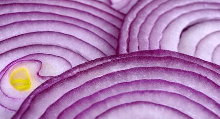 Red Onion Slices. Sliced red onion rings. Top viewの写真素材