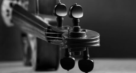 violin close-up. fretboard of a violin and strings black and white. copy spaceの写真素材