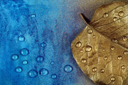 Autumn concept. Autumn colors. Golden leaf in drops of water on a blue watercolor background