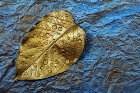Autumn concept. Autumn colors. Golden leaf in drops of water on a blue watercolor backgroundの写真素材
