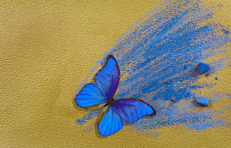 gold and blue background. colorful blue morpho butterfly, blue pastels crayons on gold paperの写真素材
