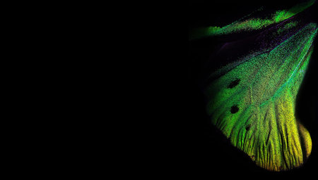 bright colorful wing of a tropical butterfly on black copy space. golden butterfly wing close up. green in natureの写真素材
