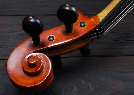 violin neck isolated on black. copy space